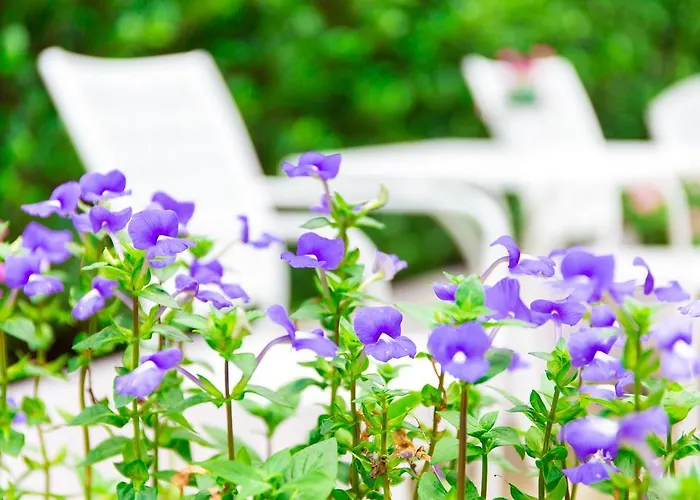 Lilac Relax-residence 3* Bangkok
